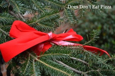 Garland with ribbon - Dogs Don't Eat Pizza