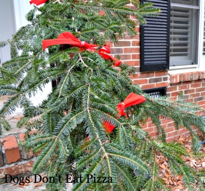 Garland along railing - Dogs Don't Eat Pizza