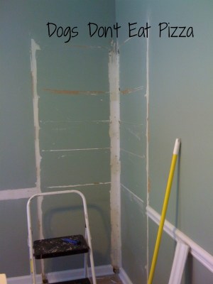 Tore out the corner cabinet - Dogs Don't Eat Pizza