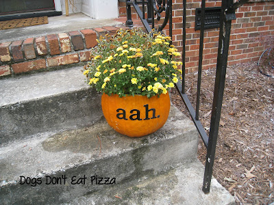 Fall pumpkin planters - DogsDontEatPizza.com