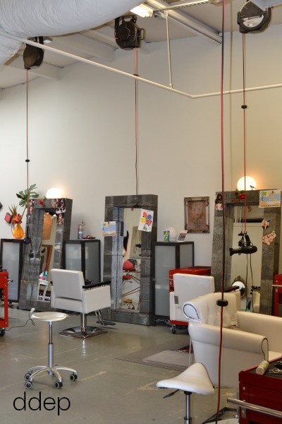 whole-salon-cool-collected-Dogs Don't Eat Pizza