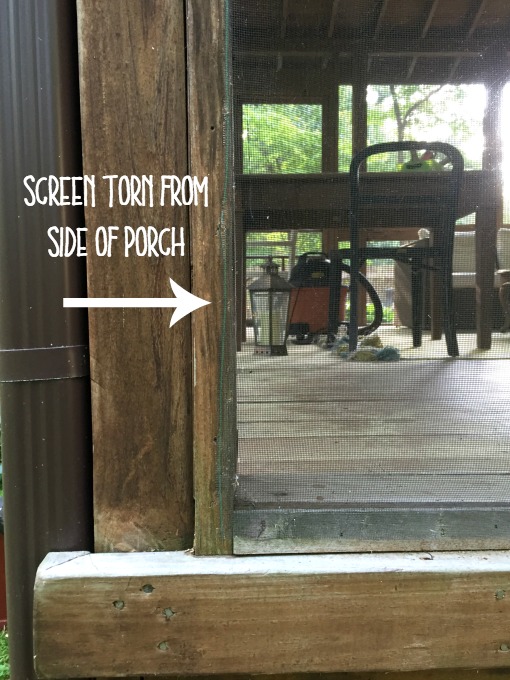 Inspect the screens before starting how to fix a screened porch - thediybungalow.com