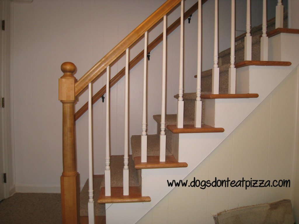 hallway before - Dogs Don't Eat Pizza