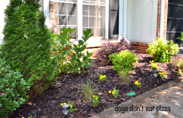 Finished garden bed at our old house - tips for creating beautiful garden beds - Dogs Don't Eat Pizza