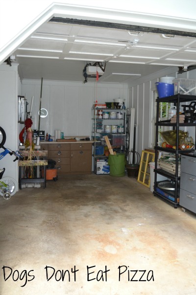 clean garage front view from Dogs Don't Eat Pizza