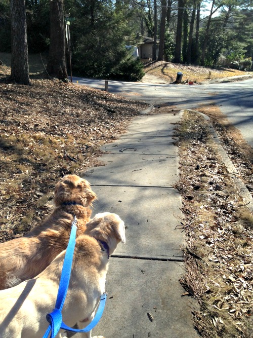 This is the corner where I fell and broke my leg - thediybungalow.com