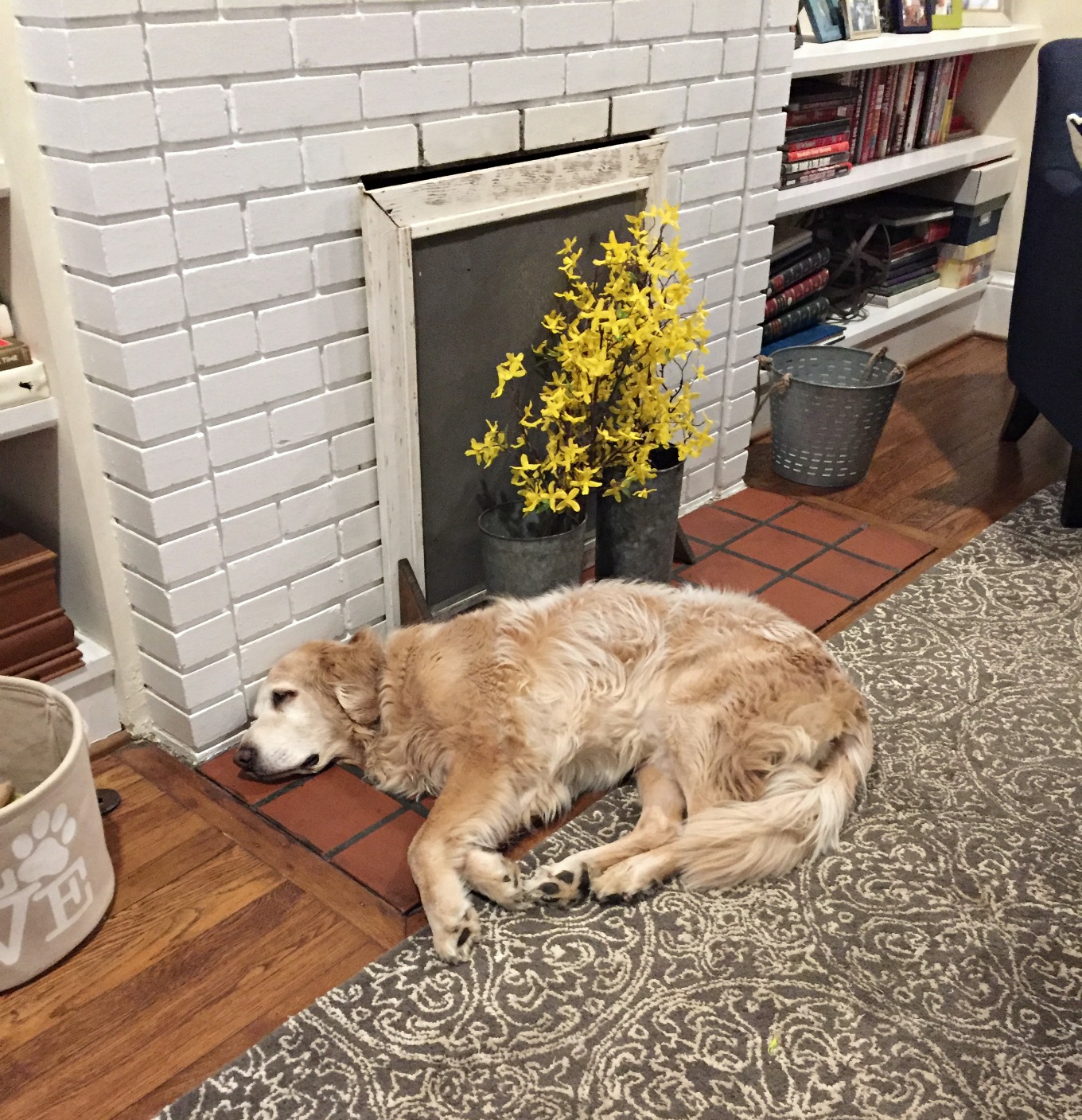 Hank Dog likes the fireplace makeover - thediybungalow.com
