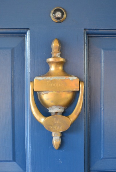 our own door knocker - Dogs Don't Eat Pizza