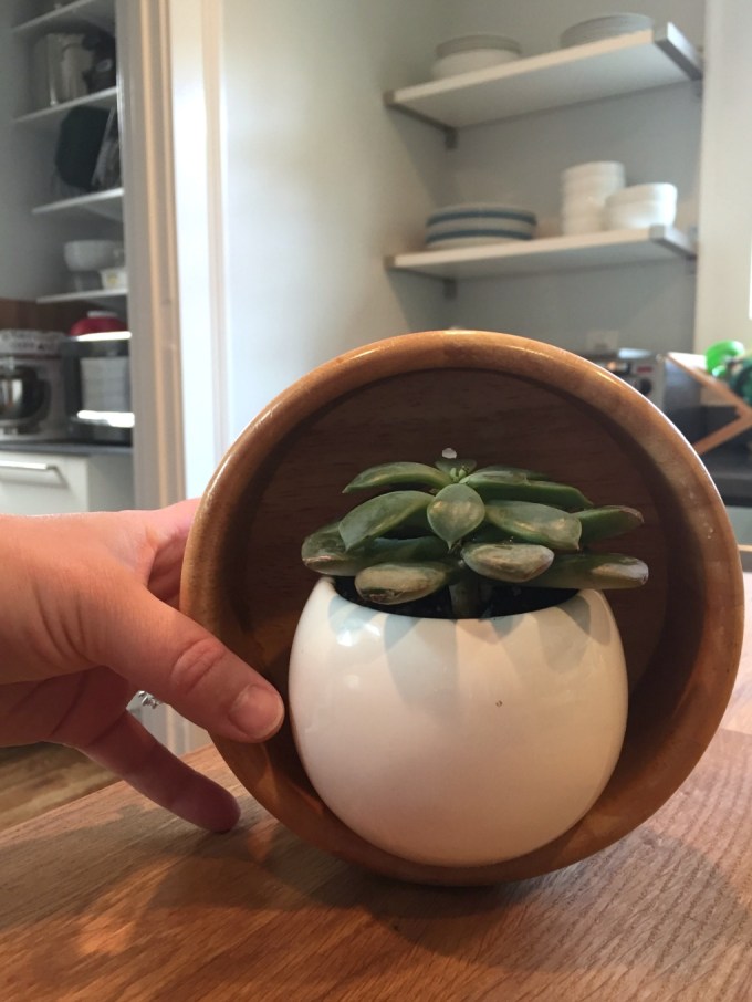 Mark planter magnet locations for DIY wooden wall planters - thediybungalow.com