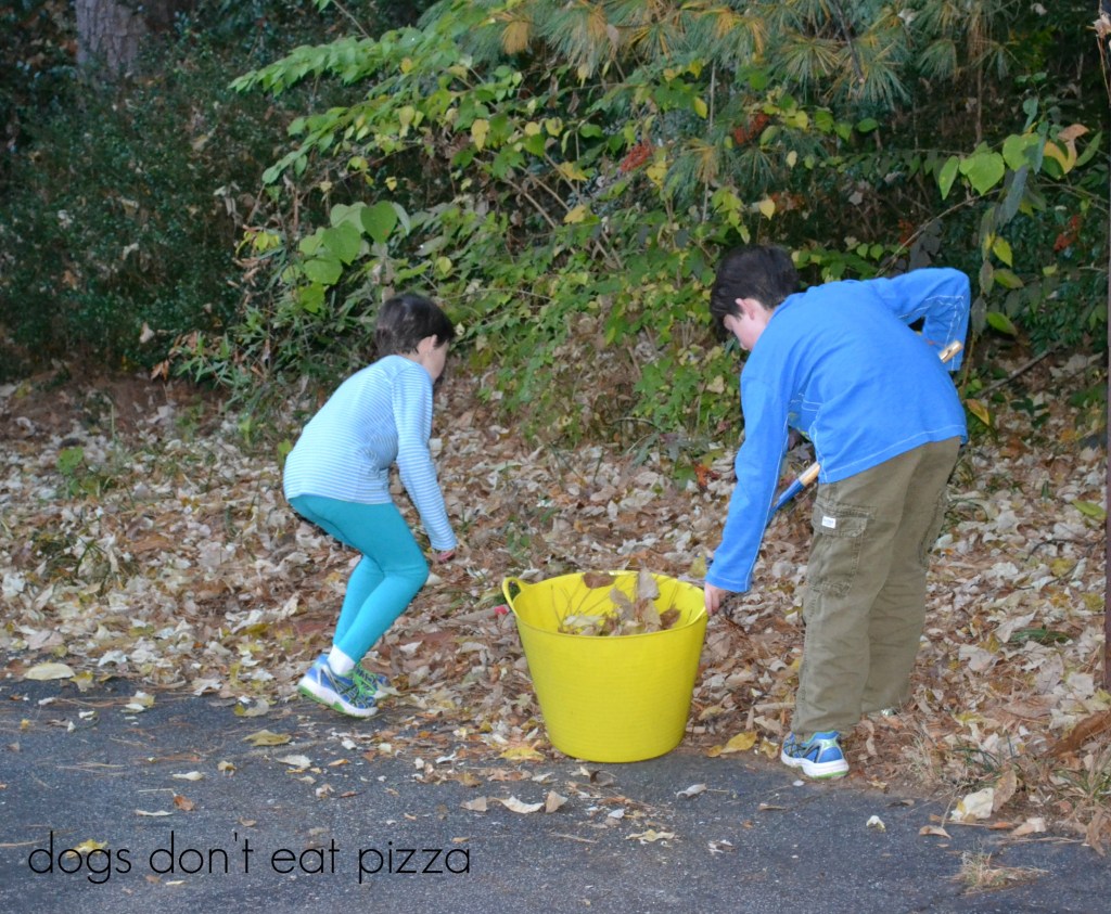 leaf collecting - Dogs Don't Eat Pizza