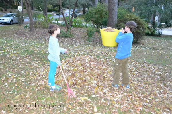 leaf fight 2 - Dogs Don't Eat Pizza