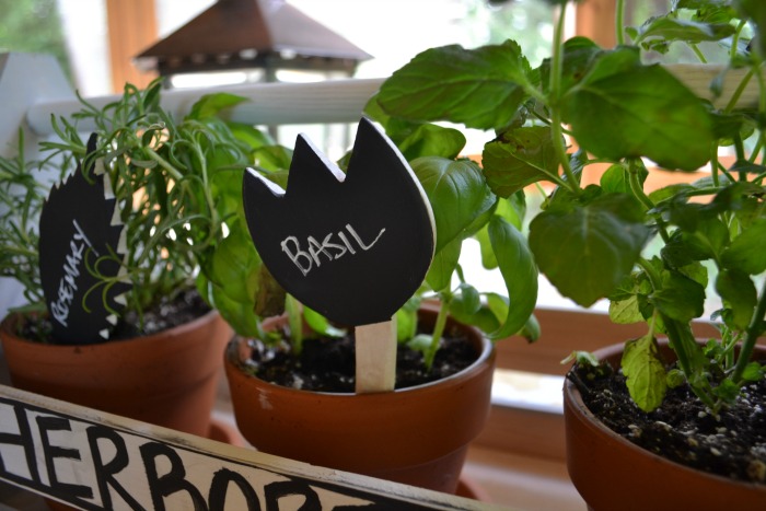 basil plant and plant marker - farmhouse style herb garden - Dogs Don't Eat Pizza