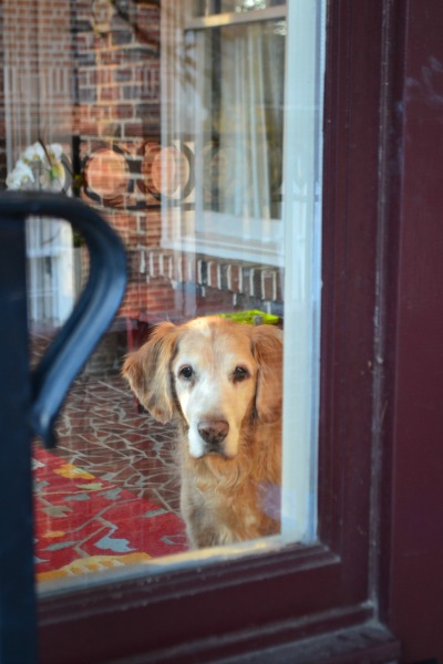 I’m Just Waiting on a&nbsp;Friend