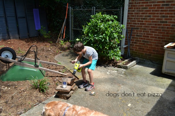 Shutters into a privacy screen is so easy, even a kid can help - thediybungalow.com