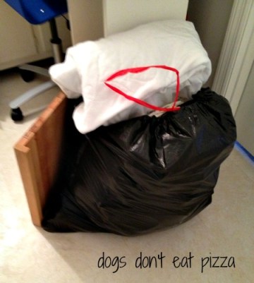 pile of donations - Dogs Don't Eat Pizza