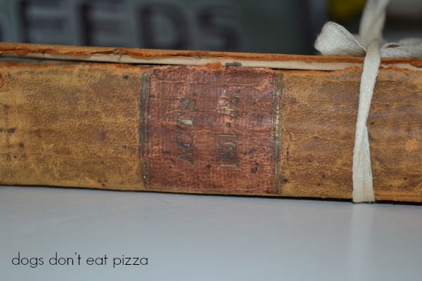 spine of book - Dogs Don't Eat Pizza