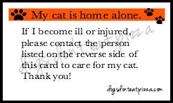 Visit thediybungalow.com for a non-watermarked downloadable printable card.