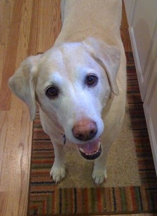 Remember Why You&nbsp;Started