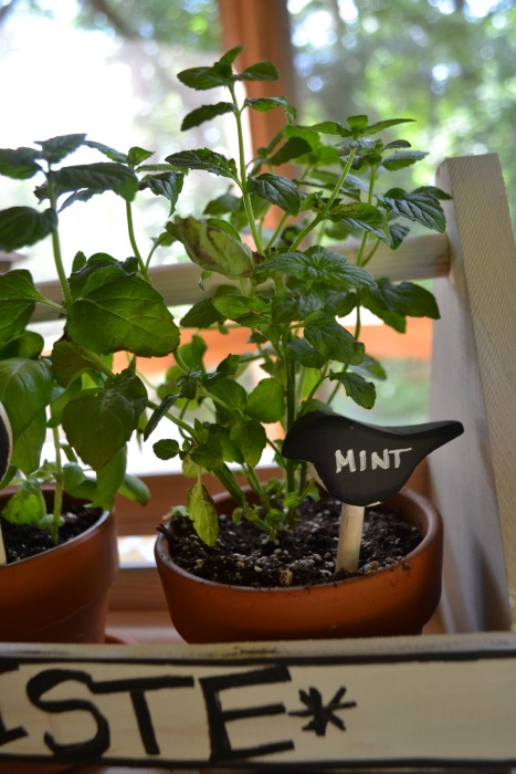 The Friday Five: Five Chalkboard Paint&nbsp;Projects