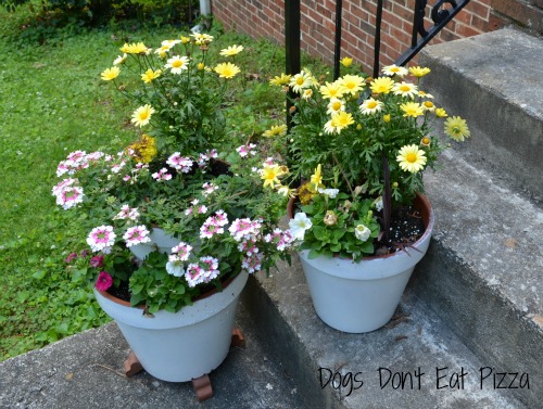 three planters on the front stoop - five favorite design tips - Dogs Don't Eat Pizza
