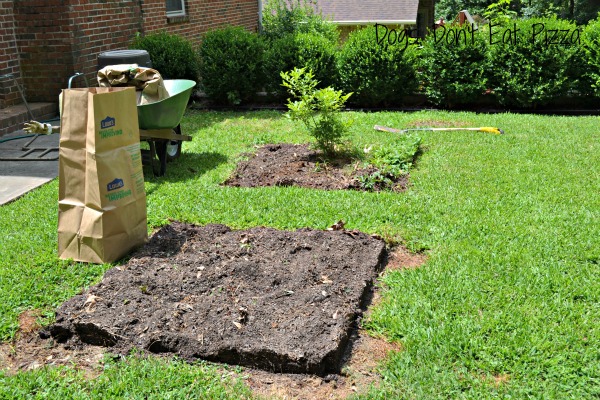 From raised beds to garden in the ground - thediybungalow.com