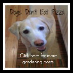 Bear button for garden posts