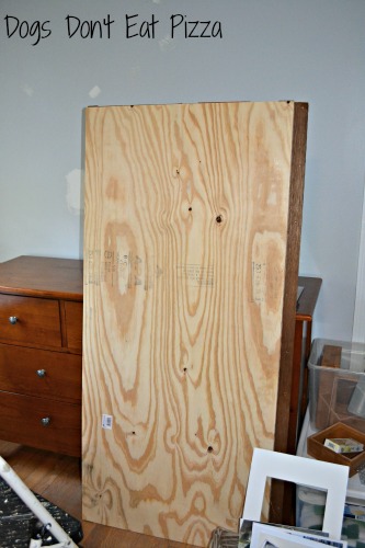 plywood at Dogs Don't Eat Pizza