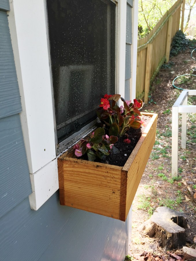 Flower boxes with begonias - adding color to your yard - thediybungalow.com