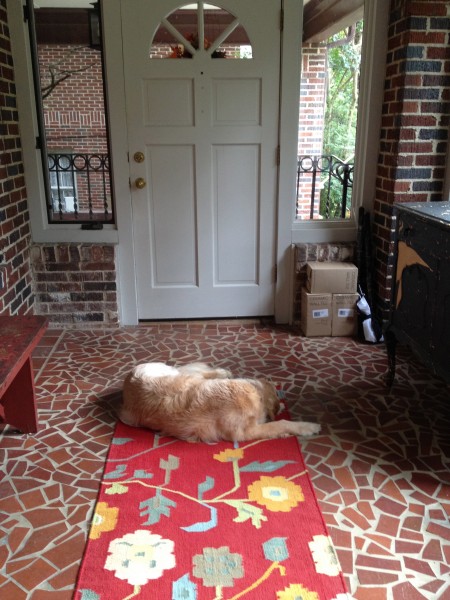 red runner on porch - thediybungalow.com