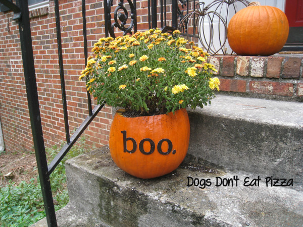 Fall Pumpkin Planters