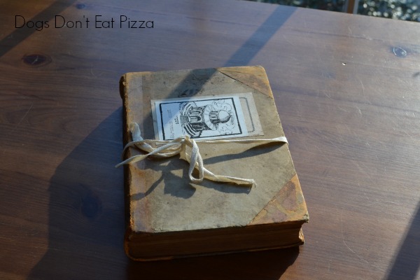 1873 book - Dogs Don't Eat Pizza