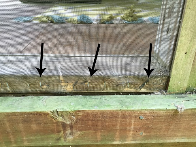 Staple the screen back to the frame when fixing a screened porch - thediybungalow.com