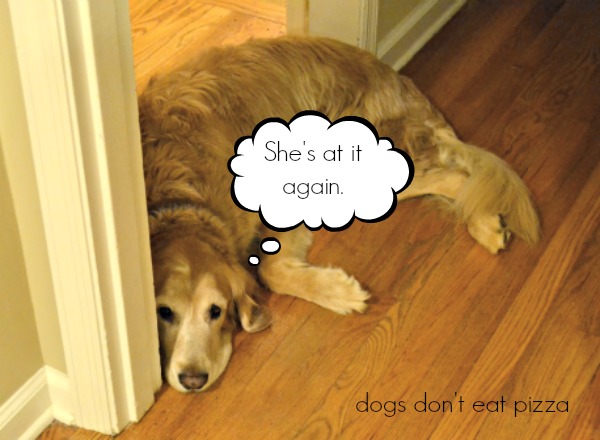 Hank and his thoughts - Dogs Don't Eat Pizza