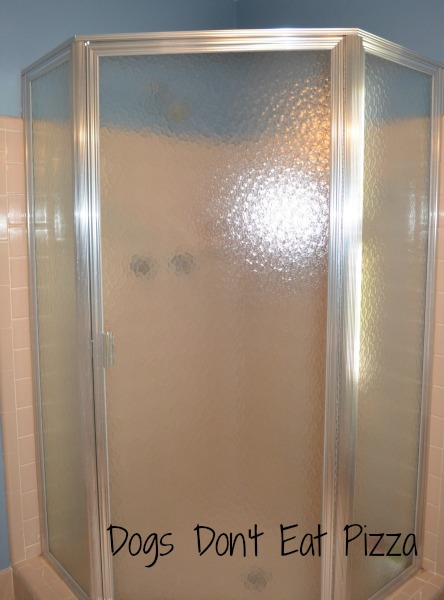 shower before - Dogs Don't Eat Pizza