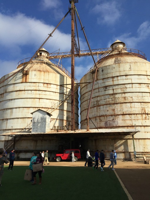 Five things I've learned from Joanna Gaines - The Friday Five - thediybungalow.com