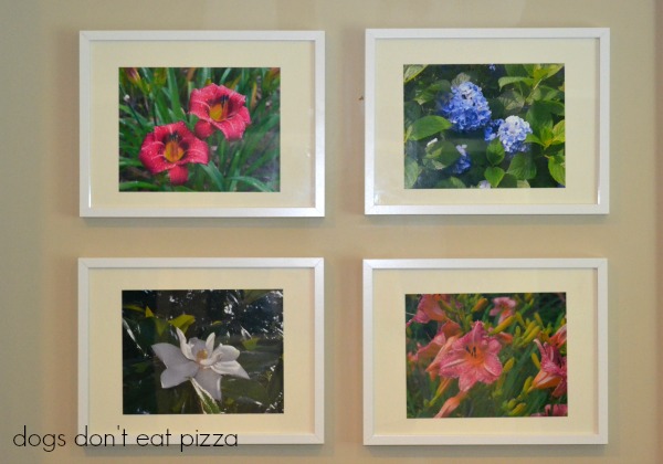 photos as art - adding color to bedroom