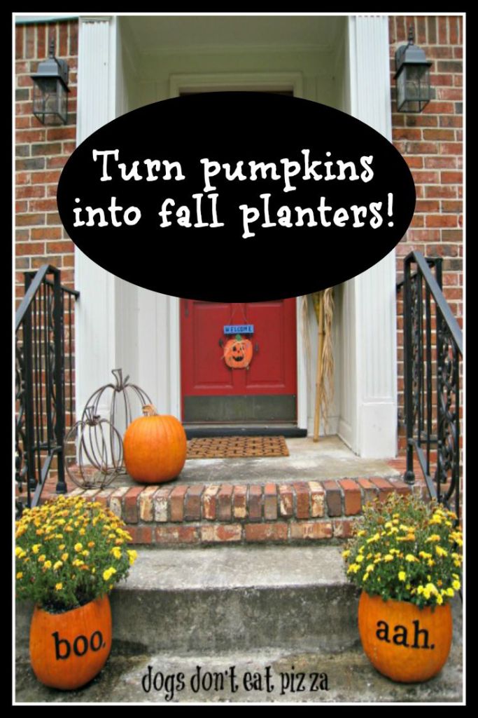 Fall pumpkin planters - DogsDontEatPizza.com