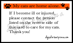 Visit thediybungalow.com for a non-watermarked downloadable printable card.