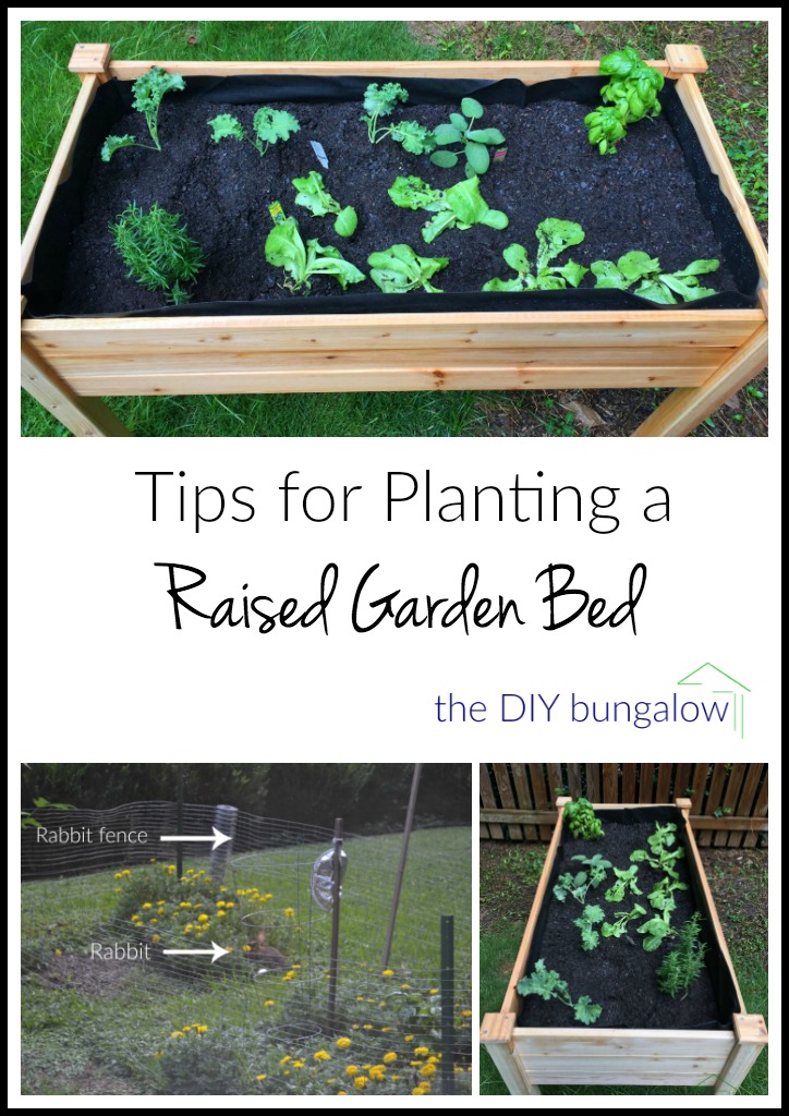 My five top tips for planting a raised garden bed - thediybungalow.com