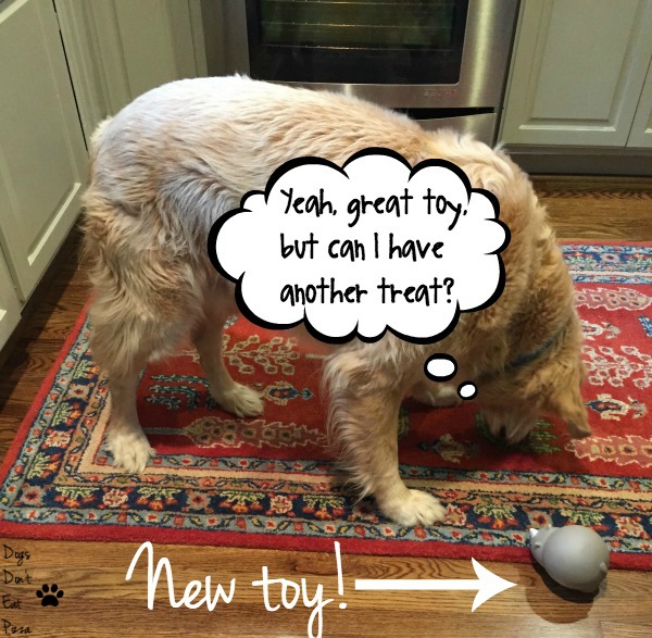 Great toy but I want another treat - Dogs Don't Eat Pizza