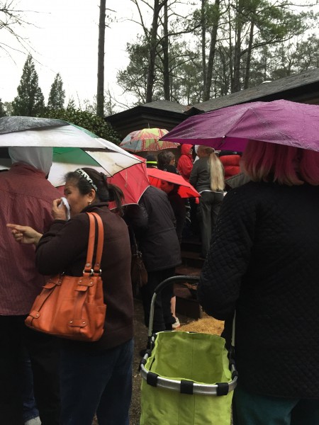 Friday Five - five things to know about shopping estate sales - singing in the rain - Dogs Don't Eat Pizza