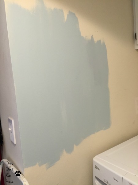 Harbor Haze on the wall - laundry room - Dogs Don't Eat Pizza