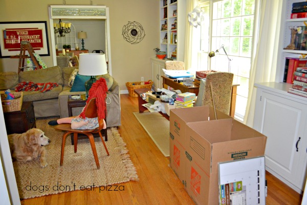 living-room - move-around - Dogs Don't Eat Pizza