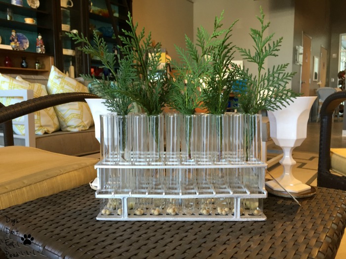 Test tubes as vases when creating a bar - thediybungalow.com