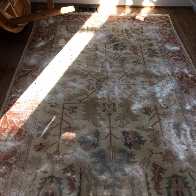 My tips for cleaning and deodorizing a rug without harmful chemicals - TheDIYBungalow.com