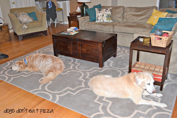 both-dogs-love-new-Mohawk-rug - Dogs-Don't-Eat-Pizza