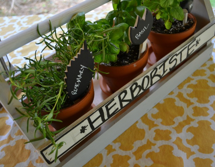 Plant an herb garden - home projects in thirty minutes or less