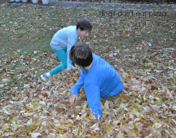 leaf pile 2 - Dogs Don't Eat Pizza