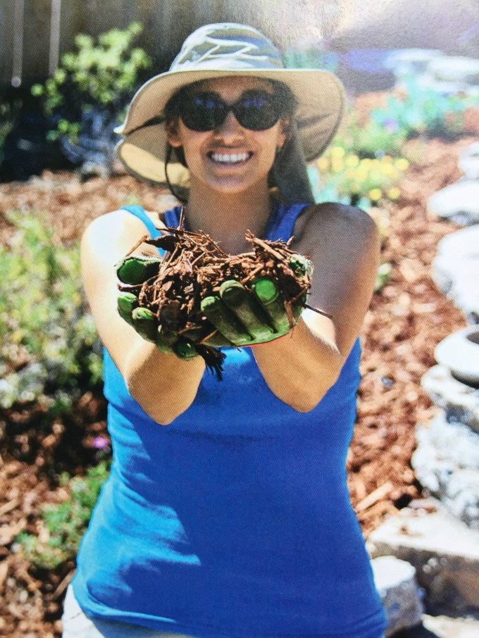 Sara Bendrick has written a great landscaping book for DIY beginners and experts - Big Impact Landscaping Book Review - thediybungalow.com