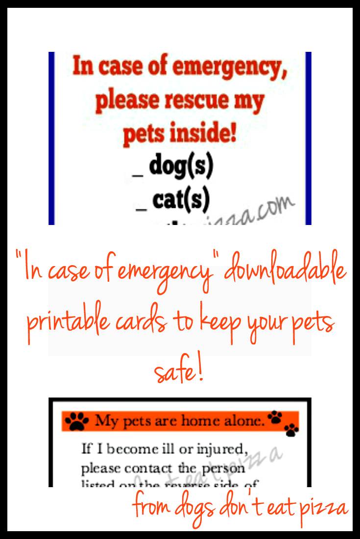 Visit thediybungalow.com for downloadable printable cards in case of emergency to keep your pets safe!